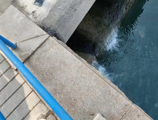 QQ截图20240807091306.png