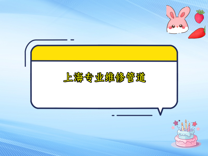 上海专业维修管道